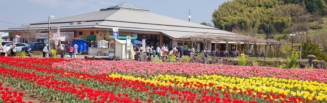 大分県の道の駅