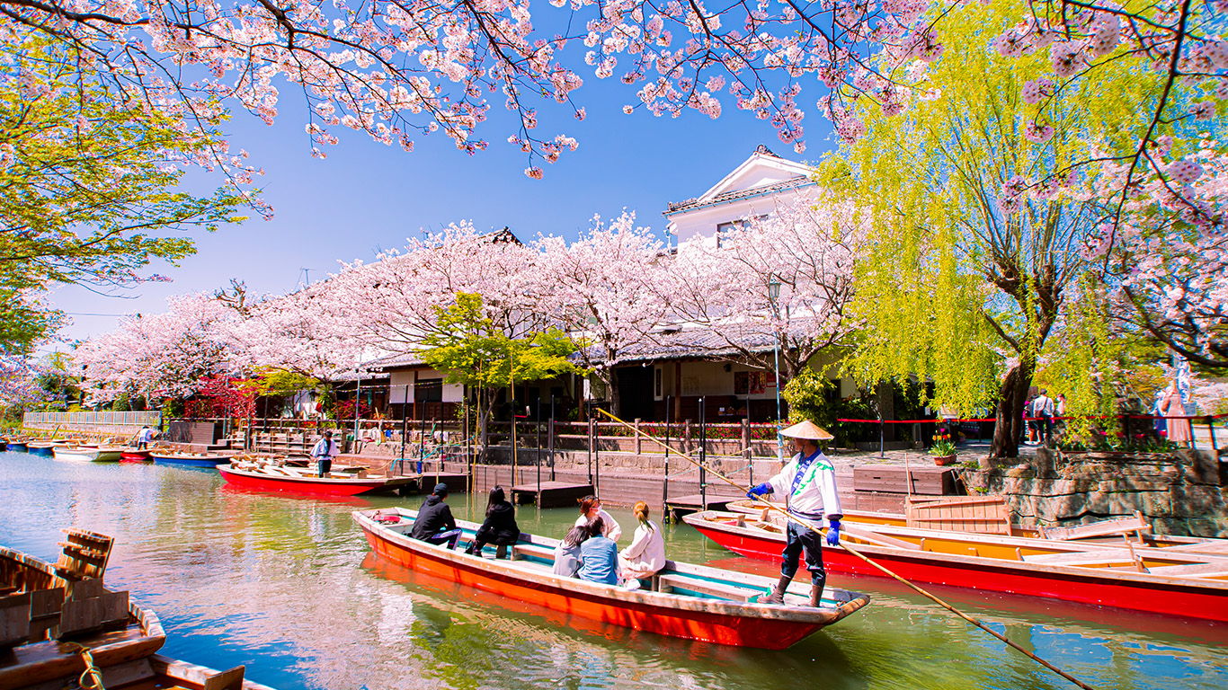 春のおすすめスポット