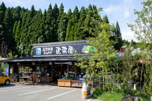 道の駅波野