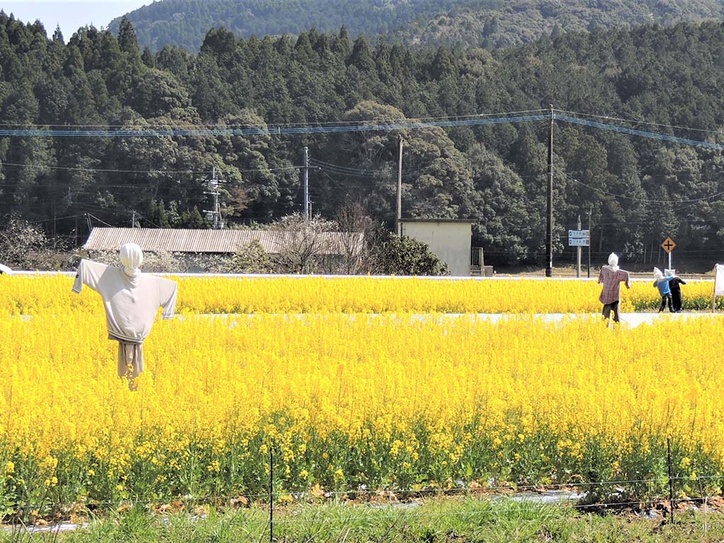 道の駅 宮地岳かかしの里オープン