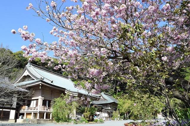 鎮国寺