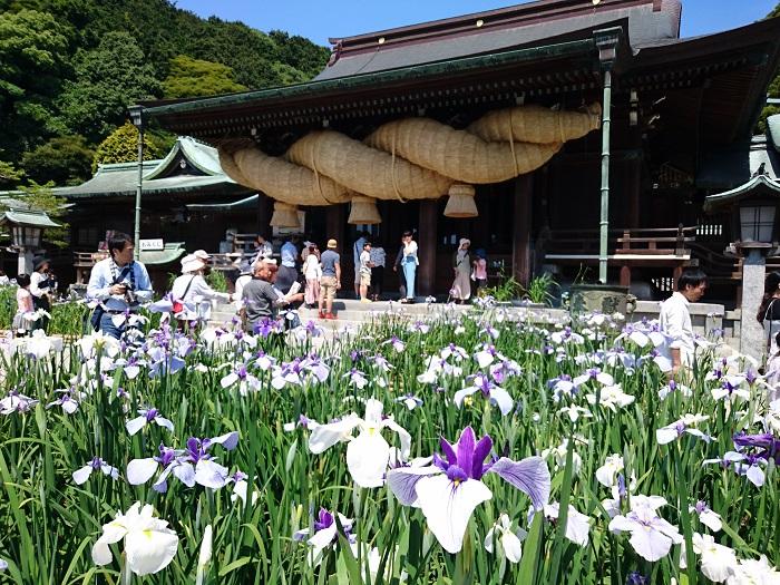 宮地嶽神社