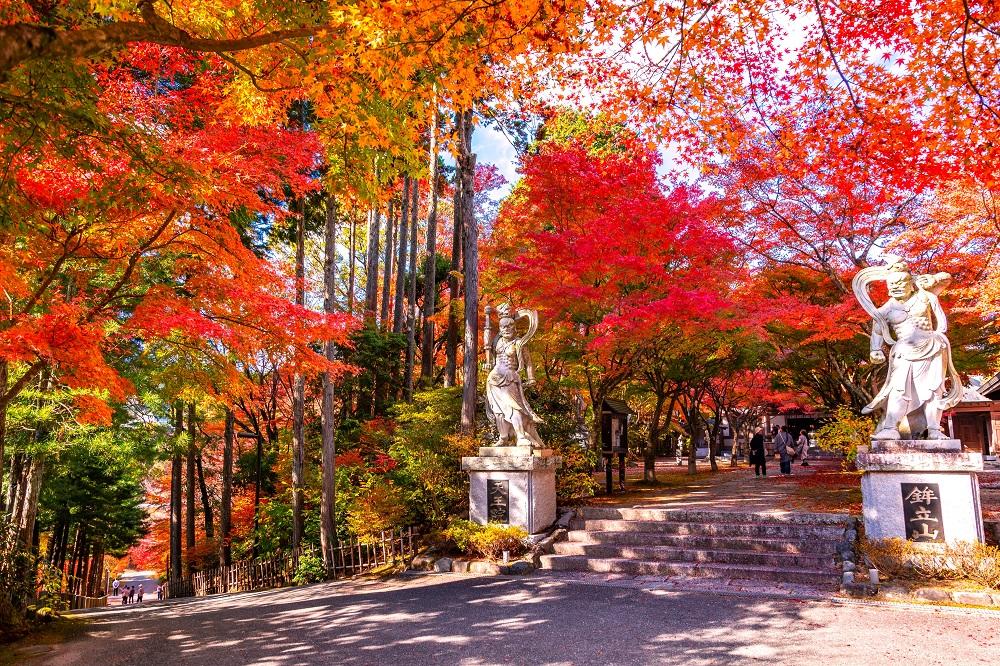 高野山真言宗別格本山 呑山観音寺（のみやまかんのんじ）