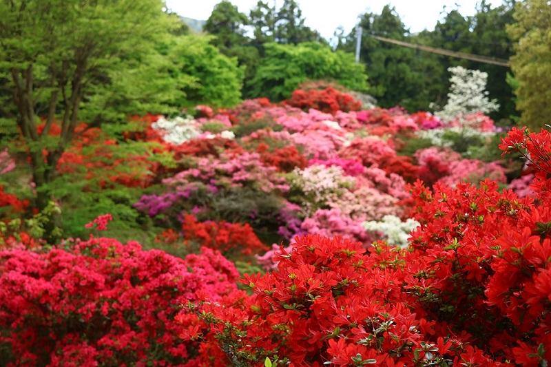 浮嶽幸花樹園(うきたけこうかじゅえん）