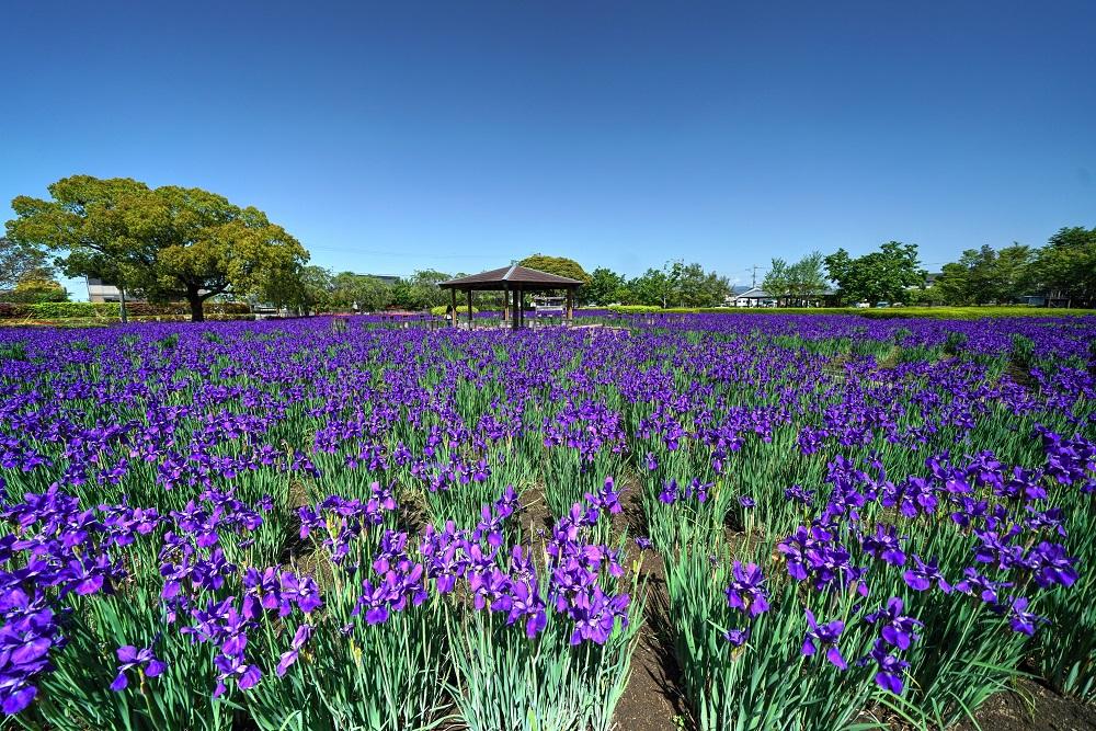 早水公園