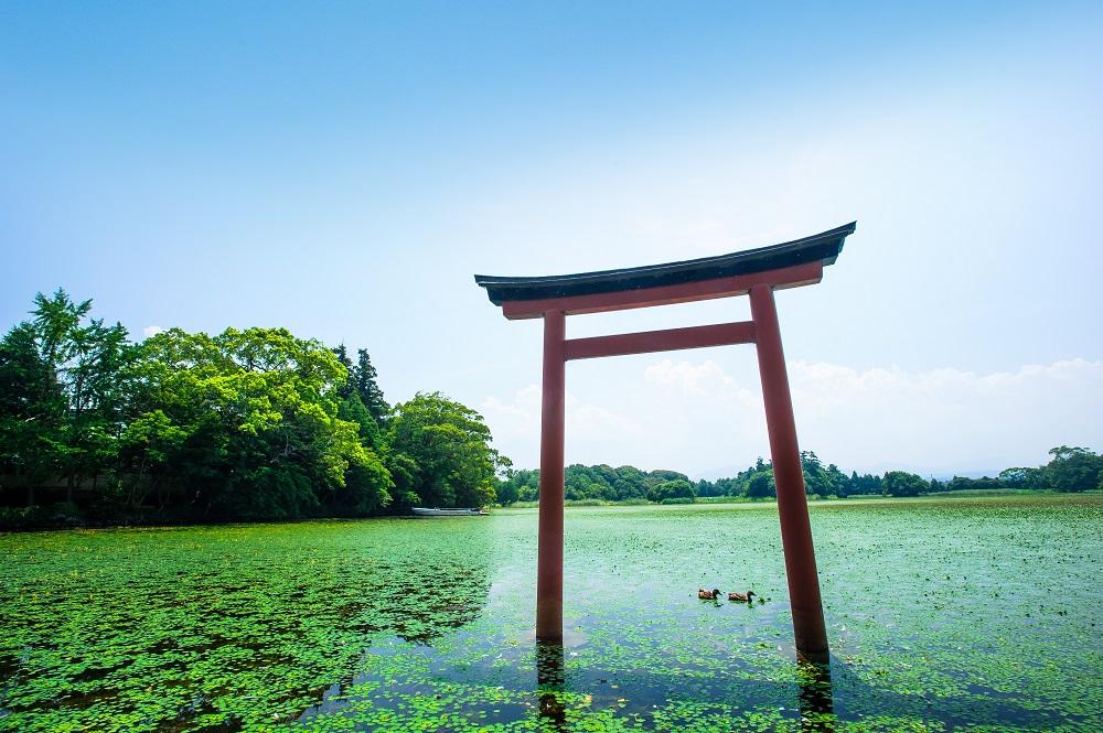 薦（こも）神社