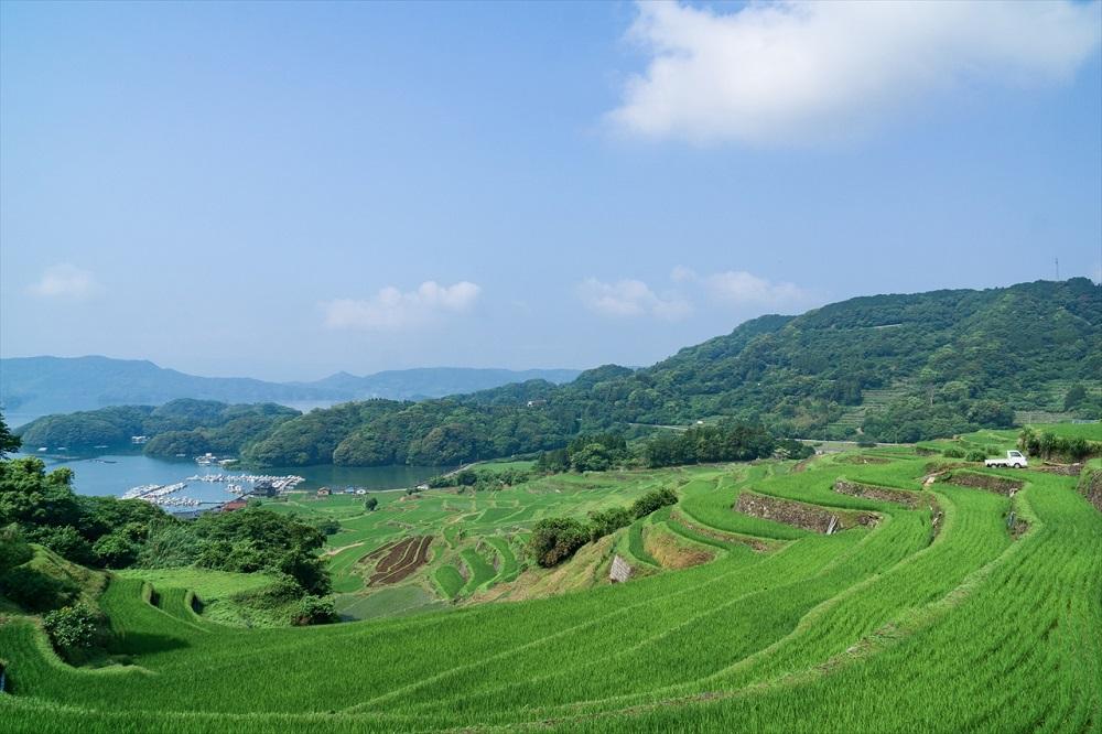 大浦の棚田