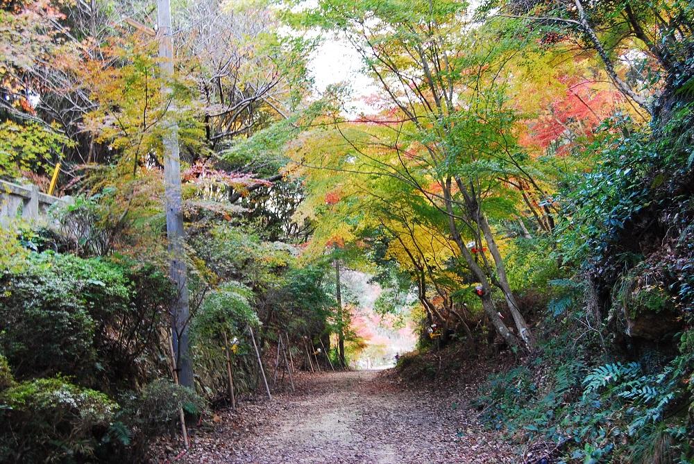 泉山磁石場