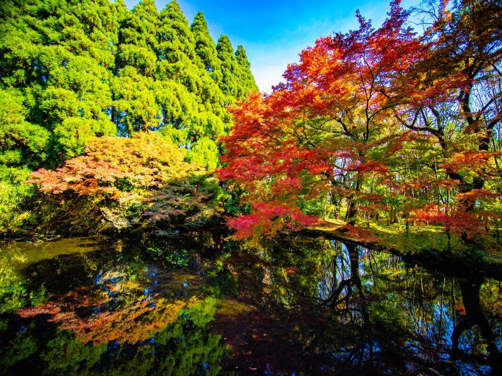 的石御茶屋跡と隼鷹（はやたか）天満宮