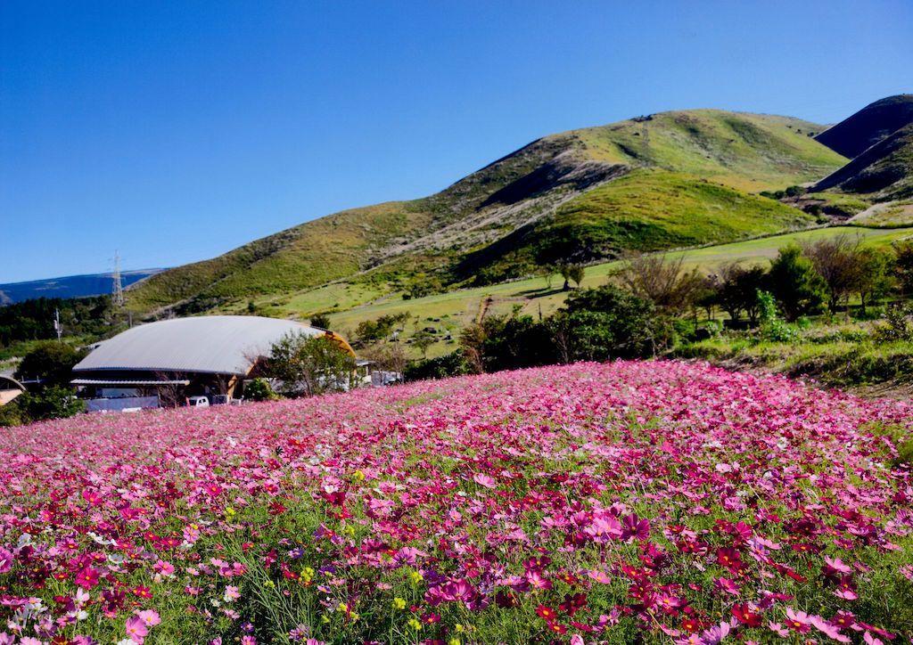 俵山交流館萌の里