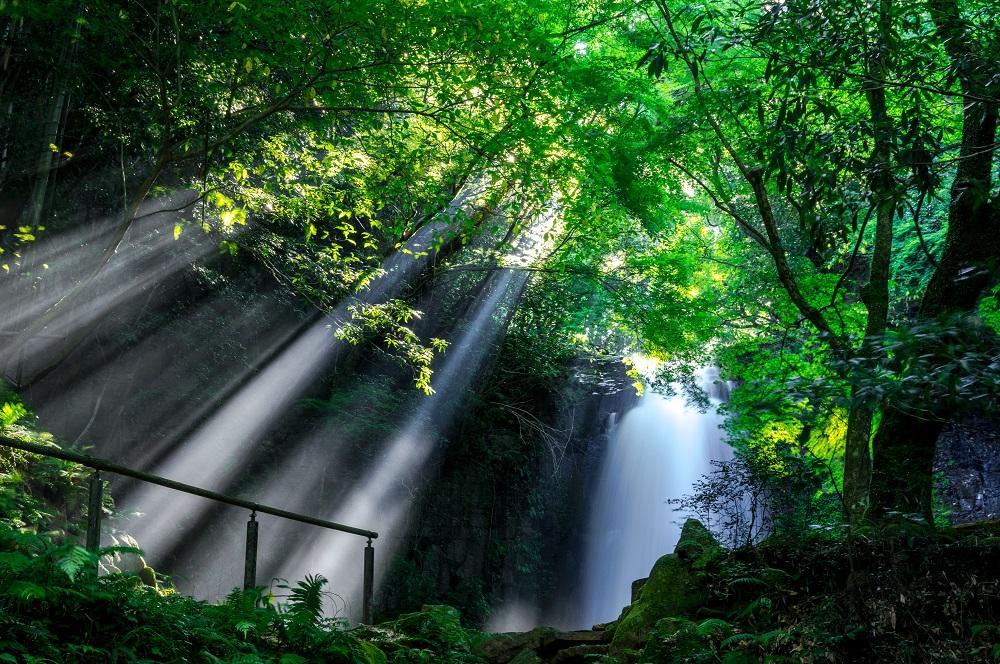 白糸の滝