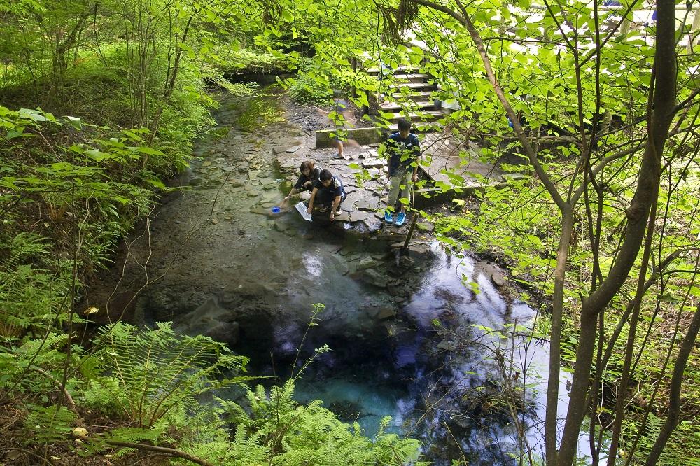 男池（おいけ）湧水群