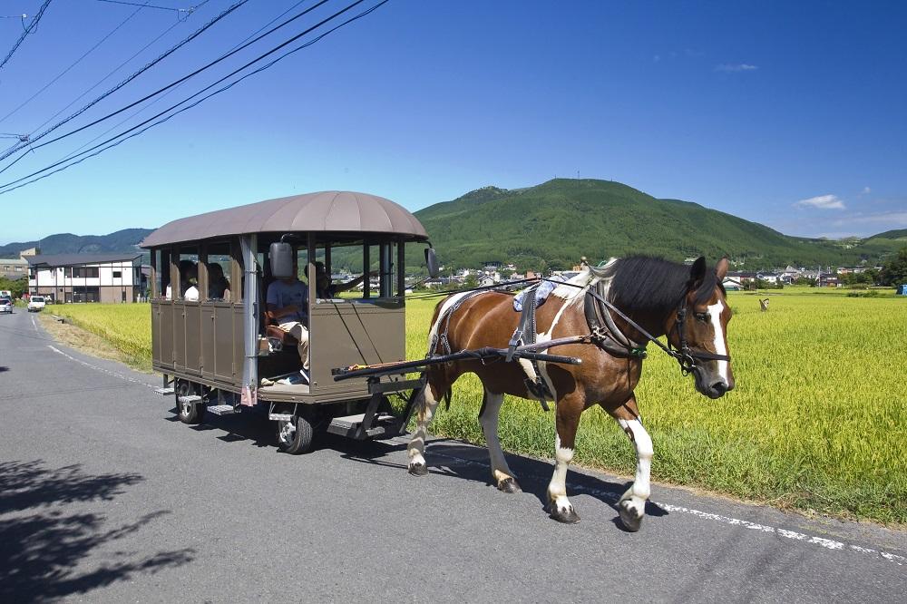 観光辻馬車