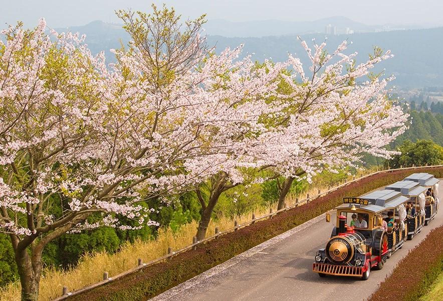 九州・花咲く道の駅ベスト5