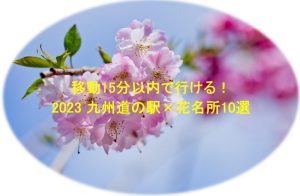 移動15分内で行ける！2023 九州道の駅×花名所10選