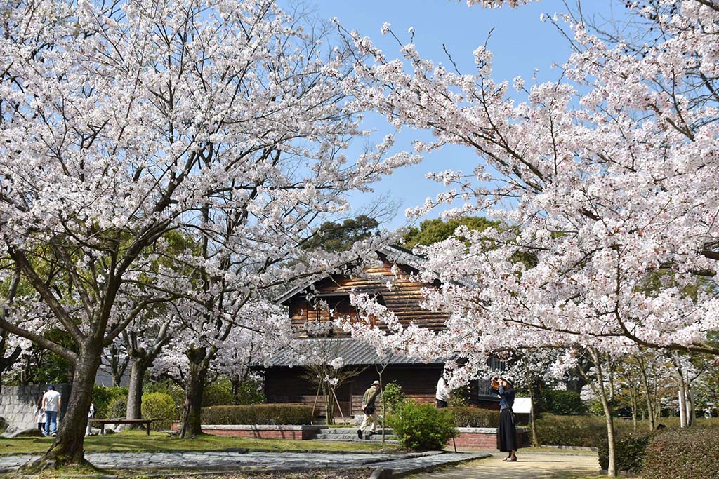 石橋文化センター