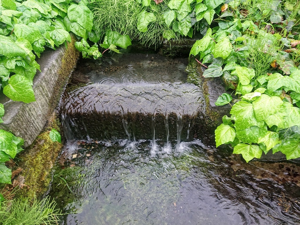 阿蘇の湧水「水基」巡り