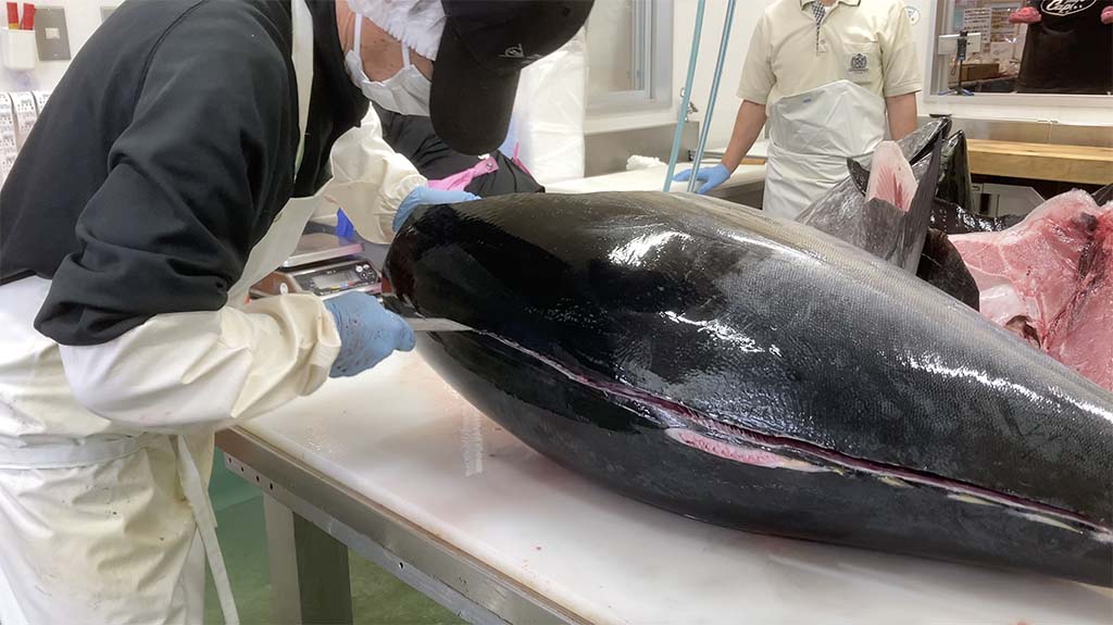 海の彼方より美味いもの襲来！・鷹島