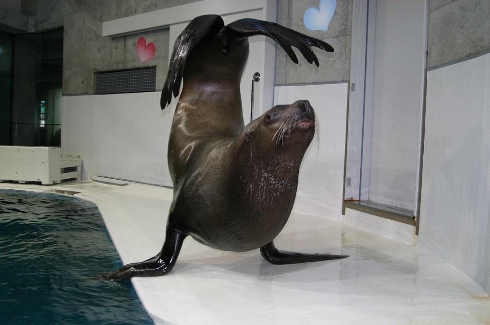 大分マリーンパレス水族館「うみたまご」