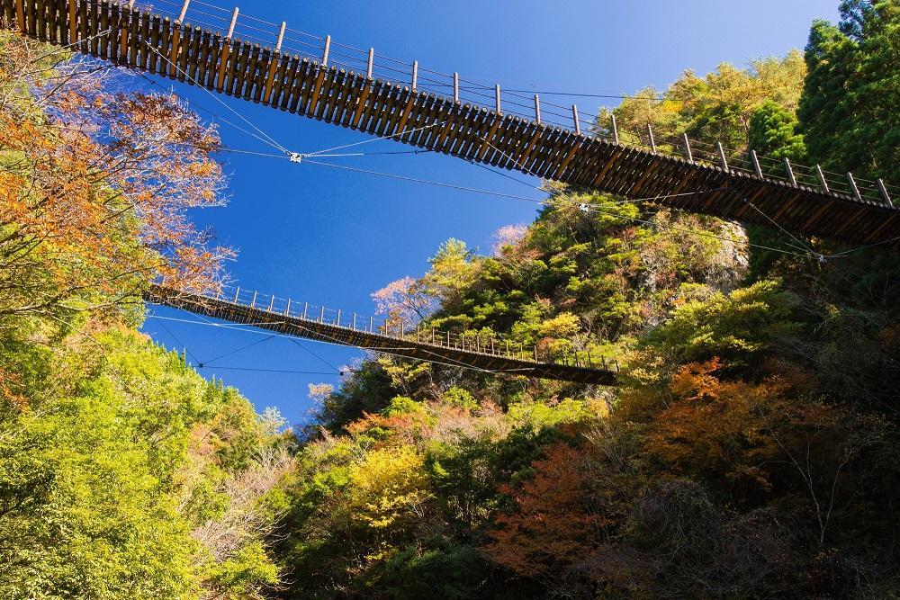 樅木（もみぎ）の吊橋