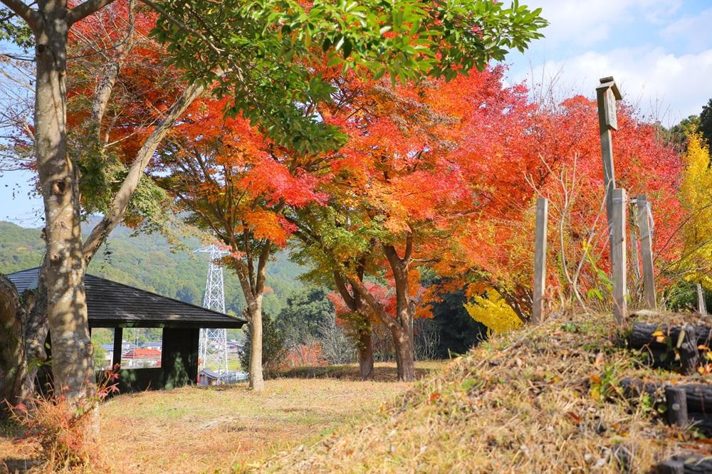 2024年秋　道の駅から15分内！九州の紅葉スポット20選！（前半）