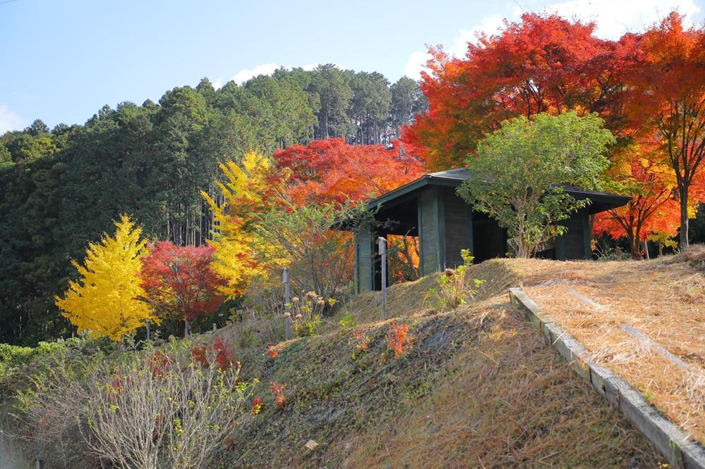 2024年秋　道の駅から15分内！九州の紅葉スポット20選！（前半）