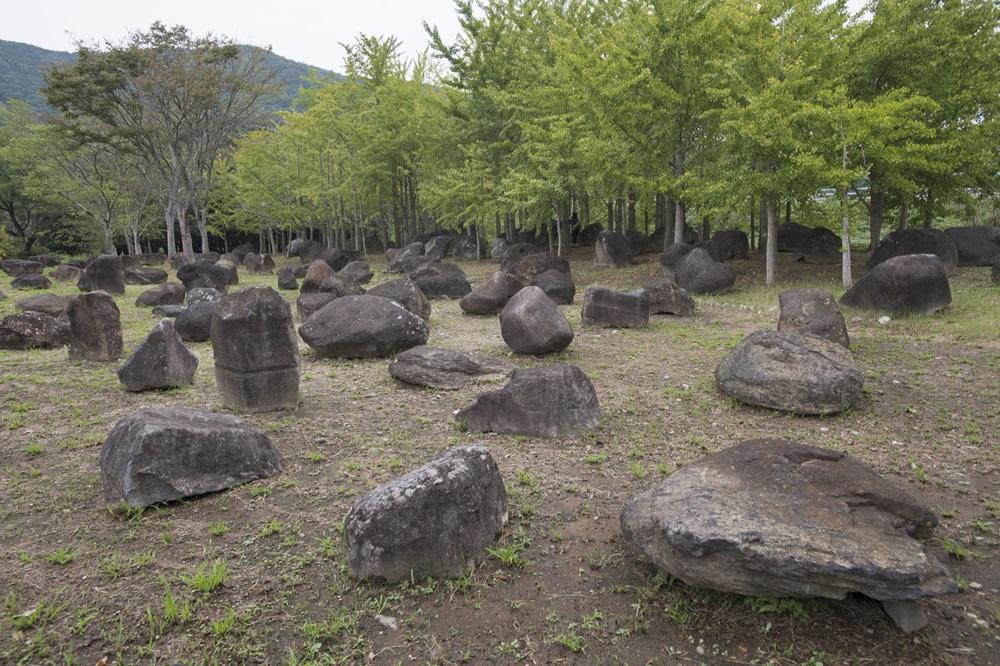 アートに美酒にグルメ！熊本県津奈木町の旅