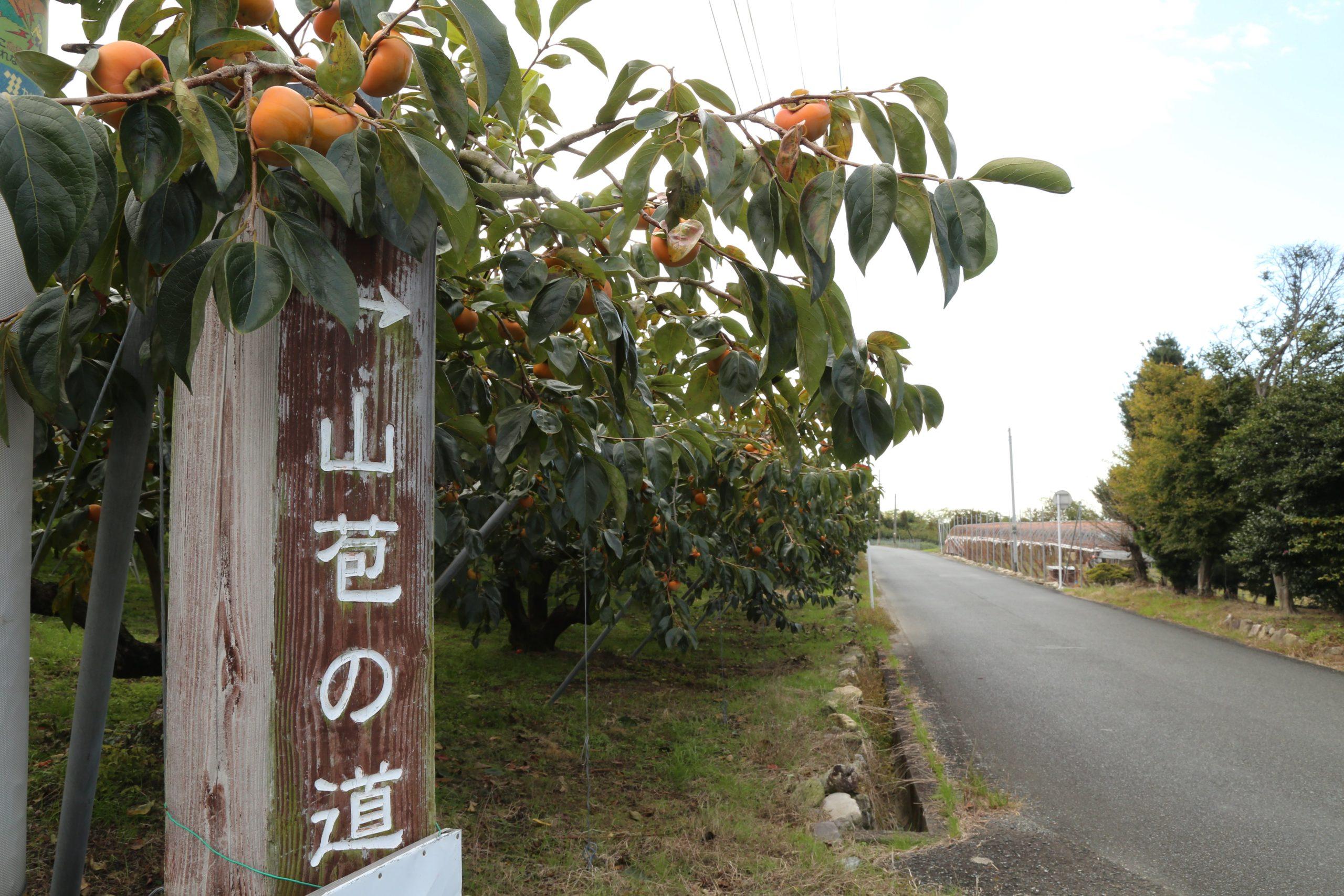 カッパがお出迎え柿の葉色づく田主丸散策のススメ