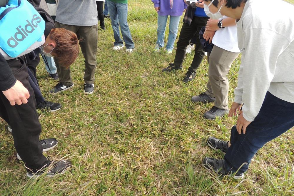 阿蘇を突っ走れ!緑の山を突っ切れ!