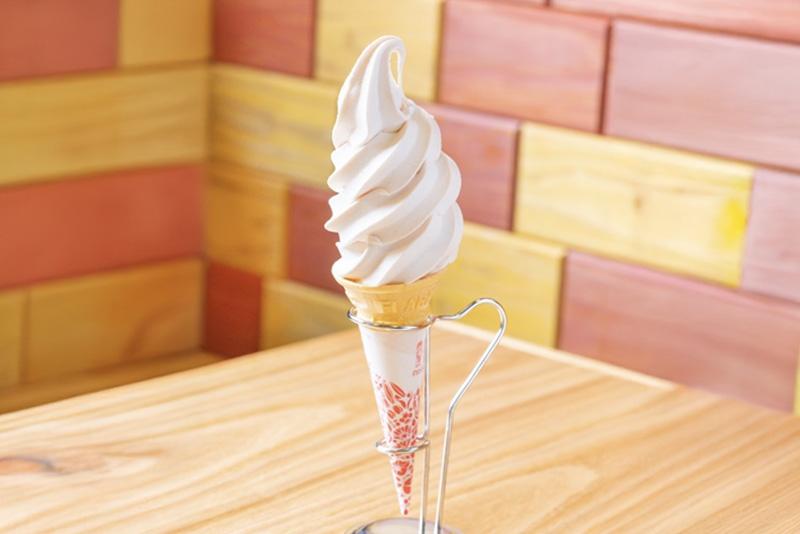 九州の道の駅7県　映えの個性派ご当地ソフトクリーム１０選