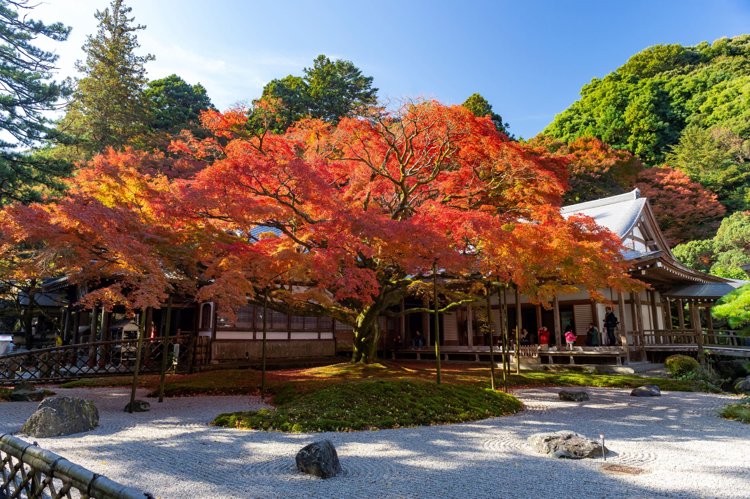 Raisan Sennyoji Temple Daihyoin