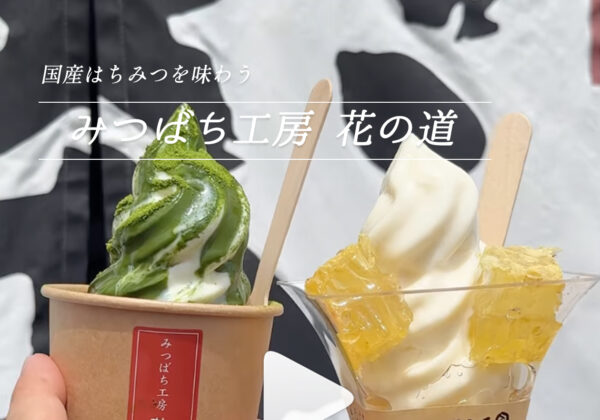 【Fukuoka・Yame】In Search of Authentic Domestic Honey. Savor Unheated Raw Honey and Delicious Soft Serve at "Bee Workshop Hanano Michi"